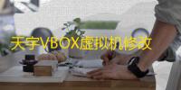 天宇VBOX虚拟机修改器